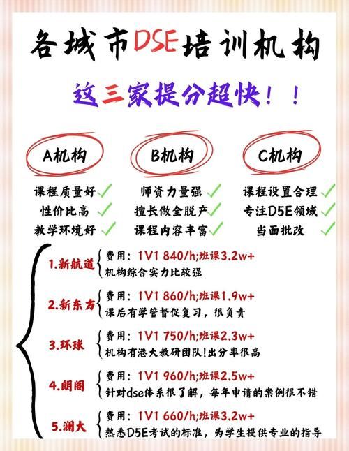 中文DSE专项培训 针对卷一至卷五的系统强化方案