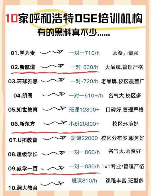 如何选择DSE培训机构？家长与学生必看的评估要点