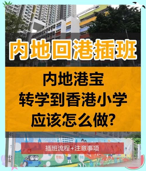 香港小学插班攻略 内地生转学必读的三大关键步骤