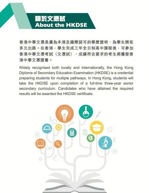 DSE补习全攻略 针对香港考生的个性化提分方案