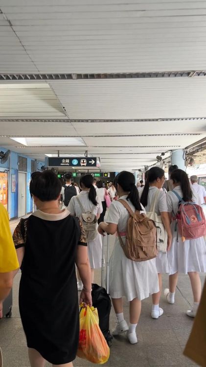 成功插班香港培道小学 经验分享与时间规划