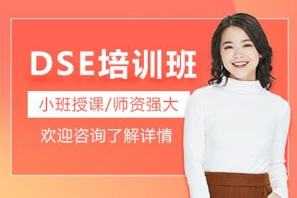 香港DSE考试深圳培训班 资深导师与全科辅导服务