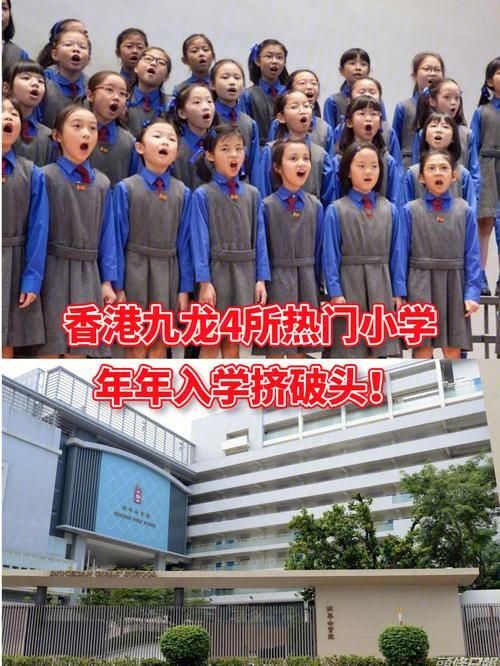 香港插班小学申请 资深顾问解读面试准备与材料清单